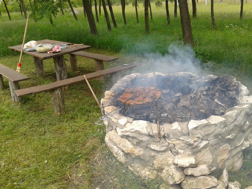 Vadaspuszta Vendeghaz Csatka